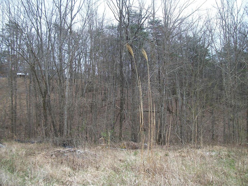 2nd image of 2868 Frames Branch Rd