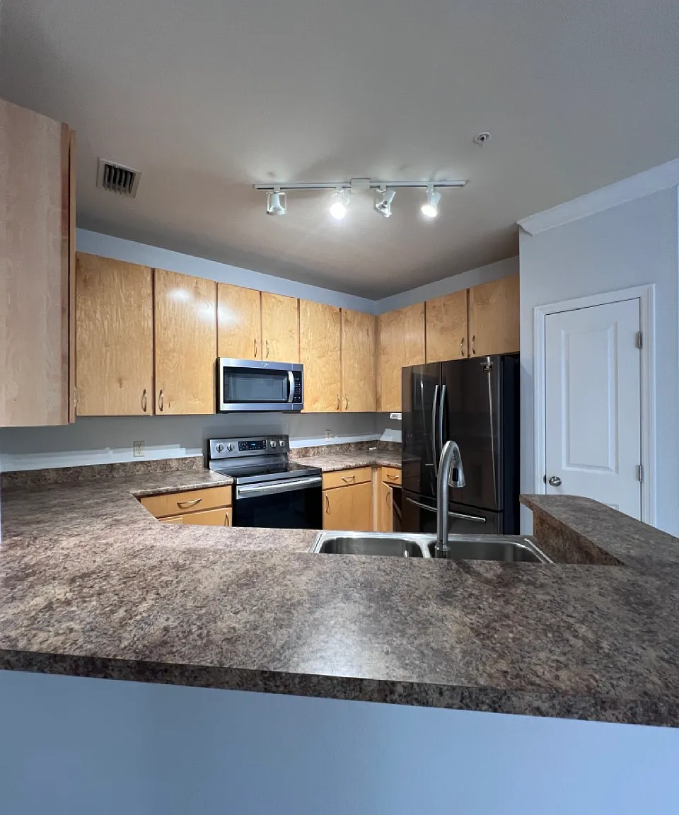 1 bed, 908 sqft, $1,450 — Photo 4