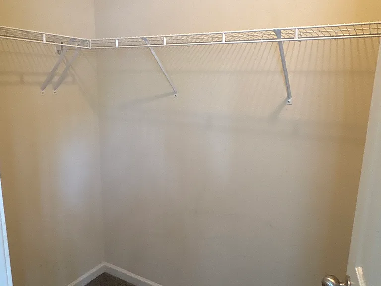 114 Palm Branch Way — Photo 17