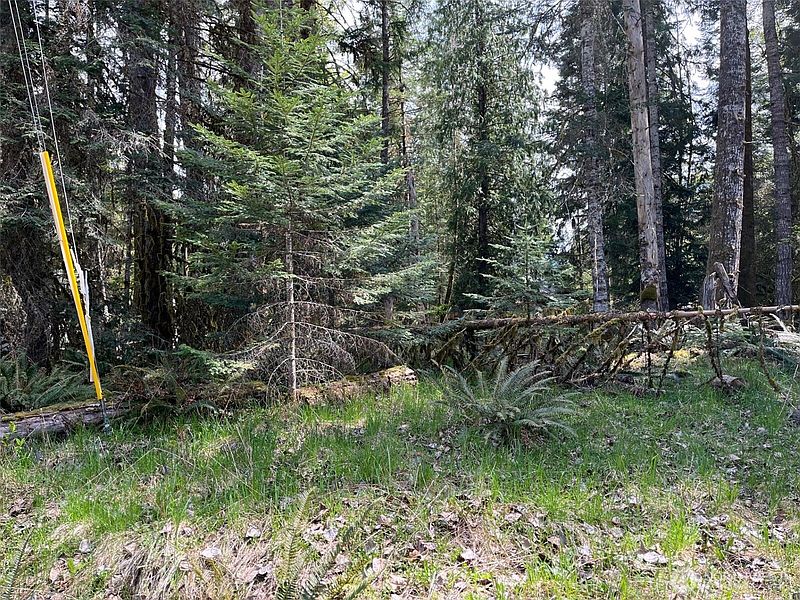 2nd image of 56919 384th Avenue Ct E