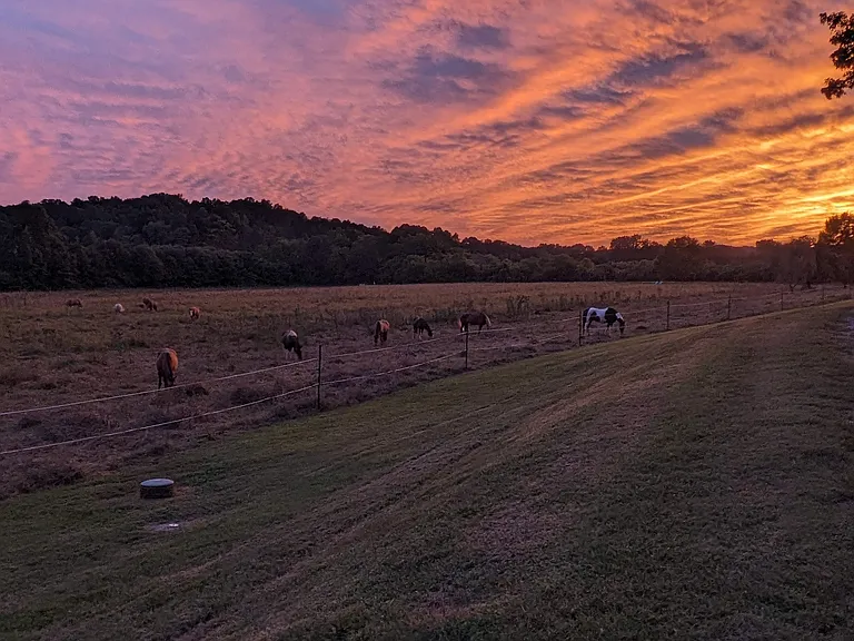 Property sunset