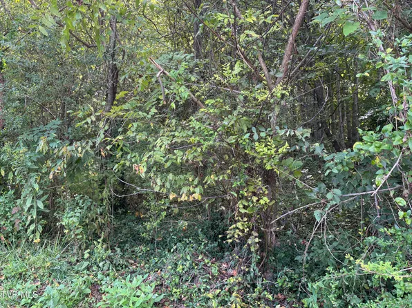 LOT 1 Hillside Dr, Elizabethton, TN 37643