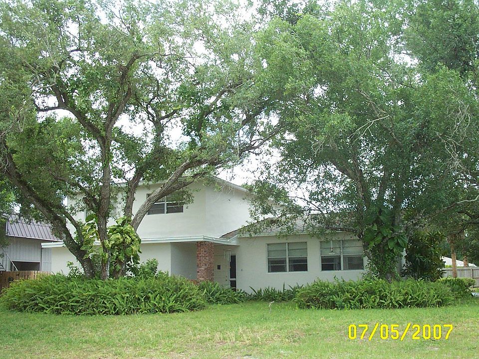 oak trees