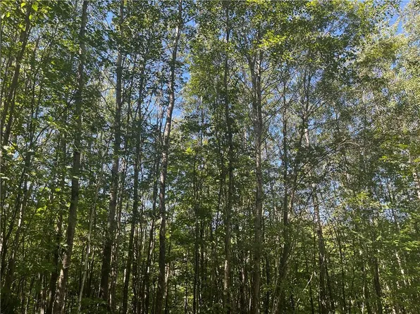 Parcel 5 County Highway T, Birchwood, WI 54817