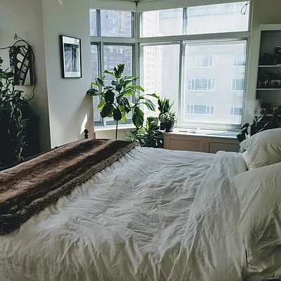 Rented by Voro NYC | media 7
