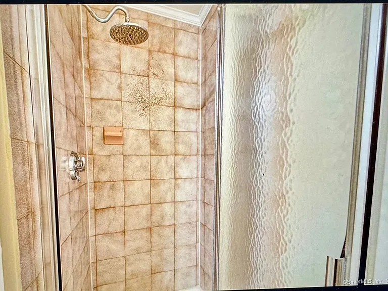 136 Tunxis Vlg #136 — Photo 20