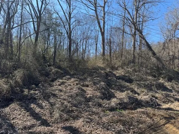 115 Shady Glenn Way, Cosby, TN 37722