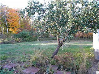 4th image of 4881 Woodridge Dr