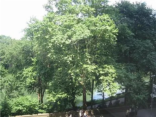 Rented by essential NEW YORK Real Estate | media 41