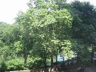 Rented by essential NEW YORK Real Estate