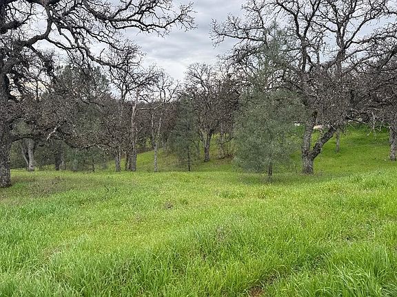 2nd image of 17107 Muledeer Dr