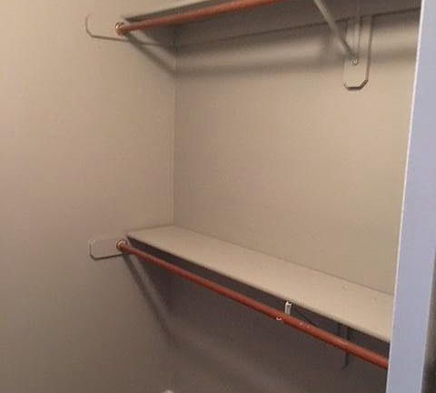 Lower level walk-in closet
