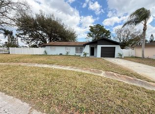 14109 Lonewood Pl, Tampa, FL 33625