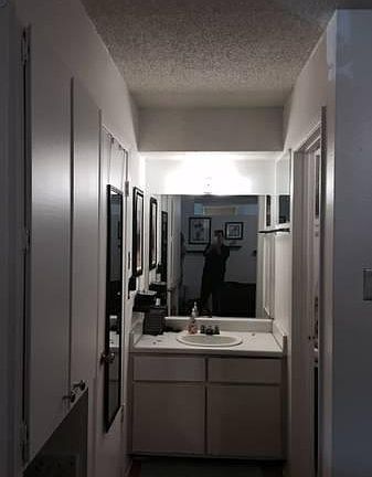 Vanity - walk in closet on left, tub/shower and toilet on right