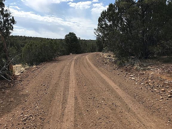 2nd image of Park Show Low Lot 232
