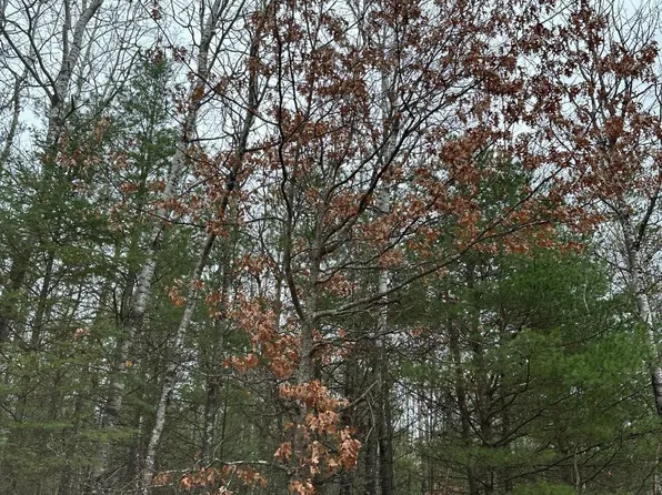 Wood Rd #4069-19, Tomahawk, WI 54487