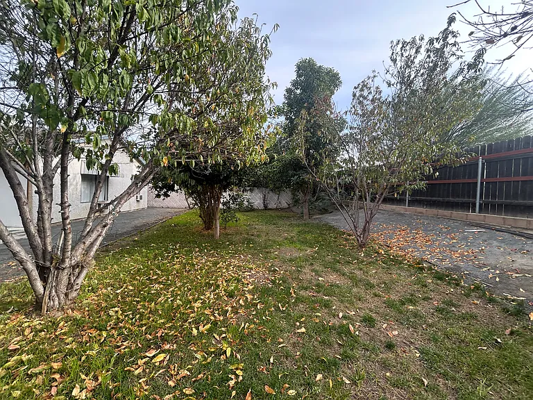 25861 Amapolas St — Photo 20