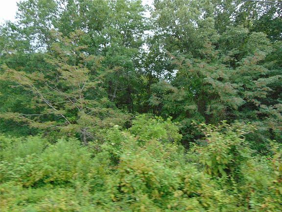5th image of 2384 Highway Ee