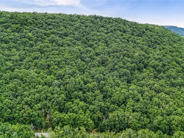 Dug Rd Lot 78, Naples, NY 14512