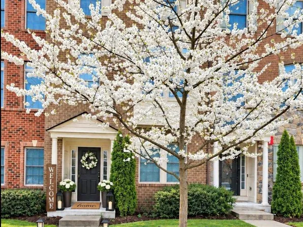 7513 Thicket Run, Hanover, MD 21076