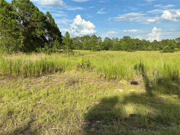 Maple Lane Way Lot 16, Ocklawaha, FL 32179