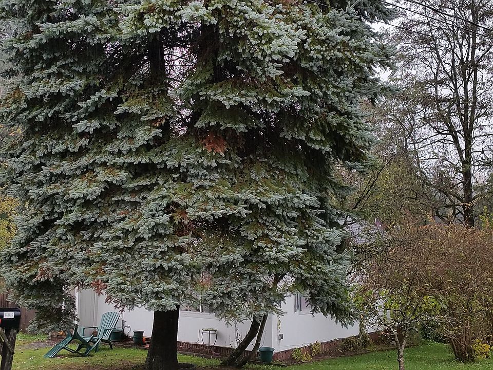 1st image of 600 Phoenix St NE