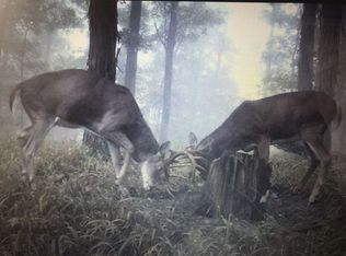 Rarden Creek Rd #1, Rarden, OH 45671