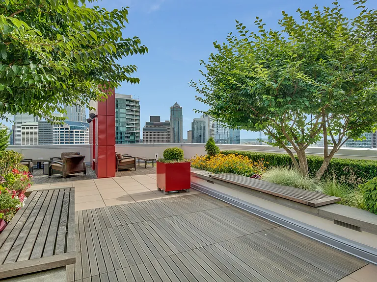 Serene surroundings on the rooftop