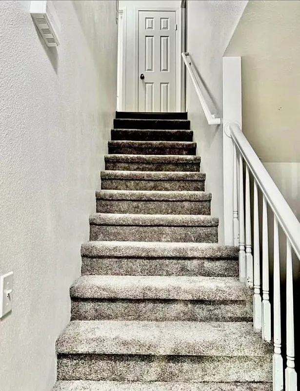 2 bed, 1.0 bath, 958 sqft, $1,250 — Photo 4