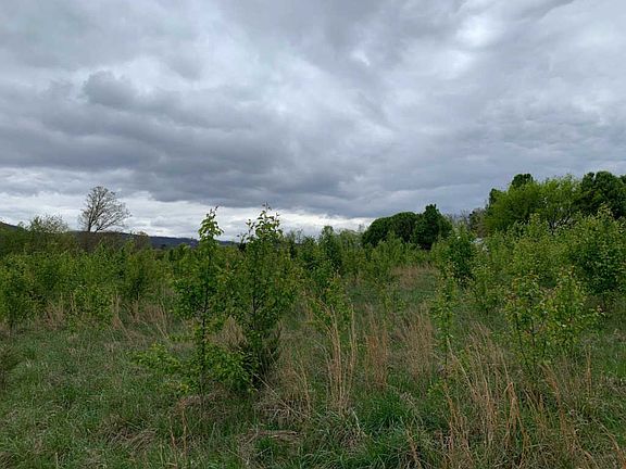 2nd image of 3220 Tuckaleechee Pike