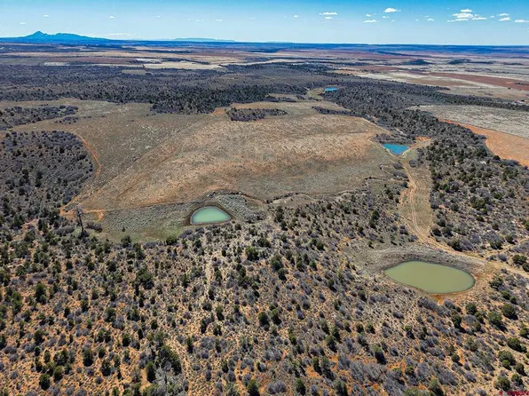 TBDWP County Line Rd, Dove Creek, CO 81324
