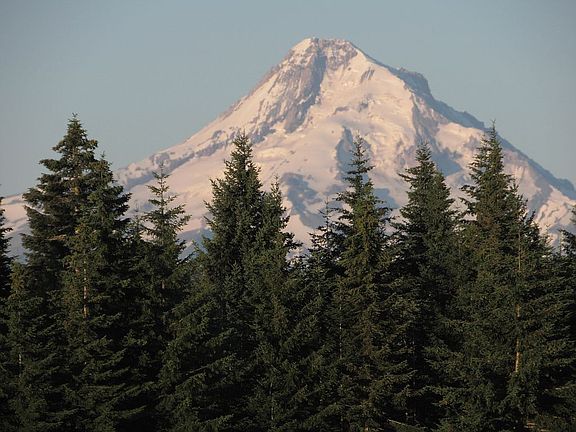 Mt. Hood