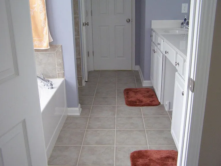 Master Bath with Jacuzzi tub and double vanity and walk in c