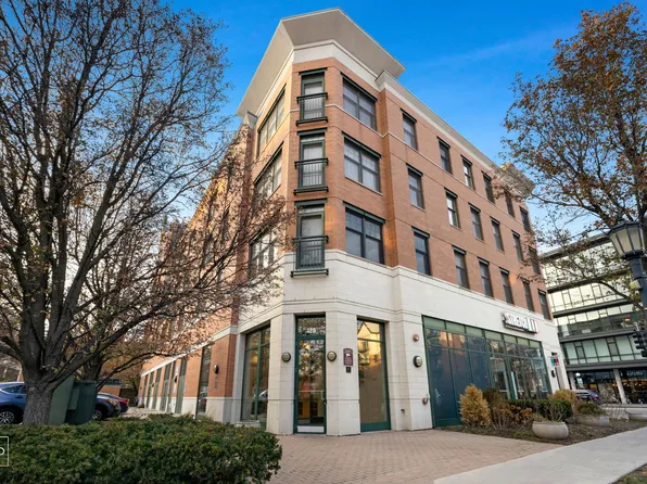 125 N Euclid Ave APT 302, Oak Park, IL 60301