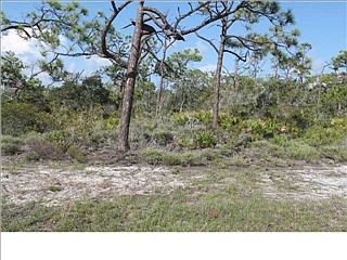 1st image of 1708 Kumquat Ct