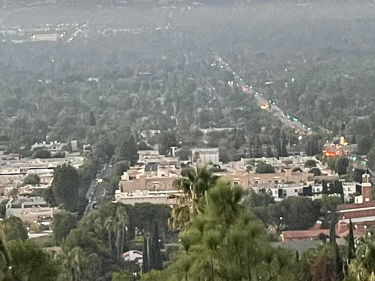 view