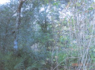 Coalstone Dr, Webster, FL 33597