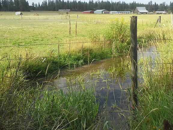 CREEK Corner of property