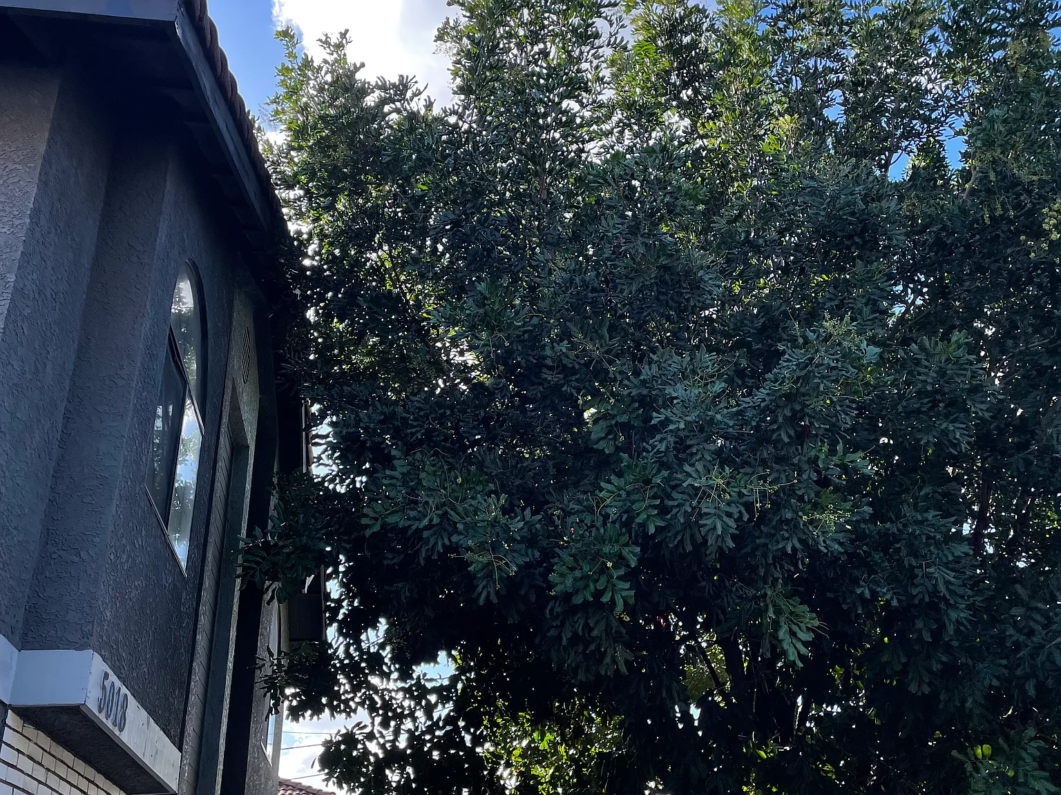 2 bed, 1.5 bath, 1000 sqft, $2,900 — Photo 2