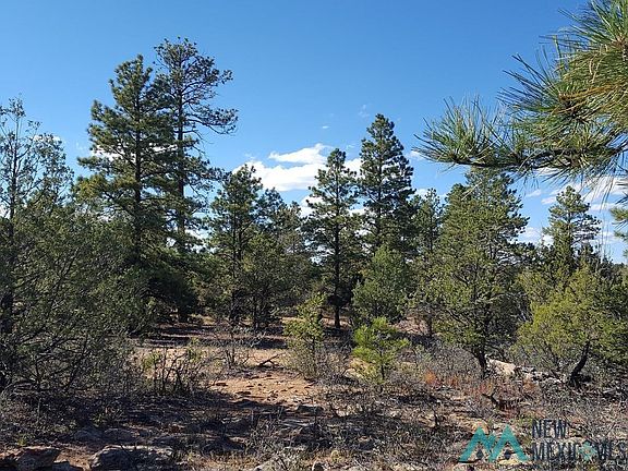 5th image of Silver Spur Ct