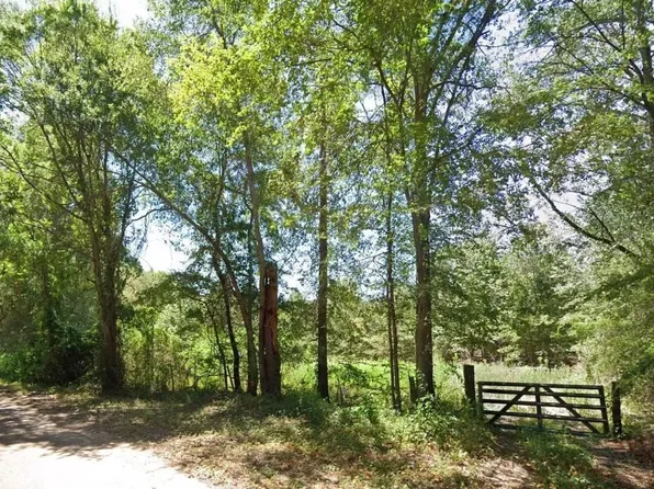 County Road 4823, Ben Wheeler, TX 75754