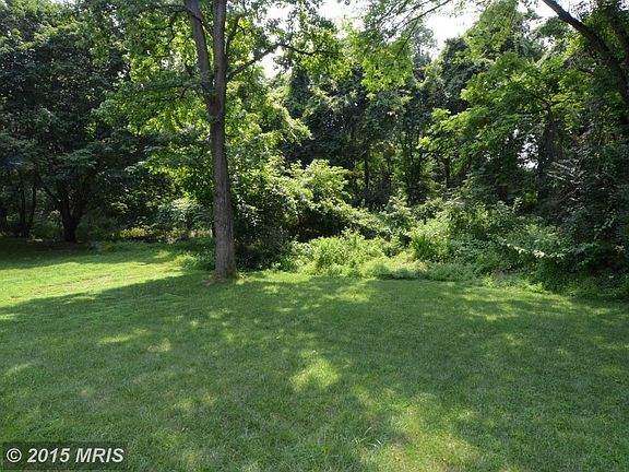 Level rear yard backing to trees