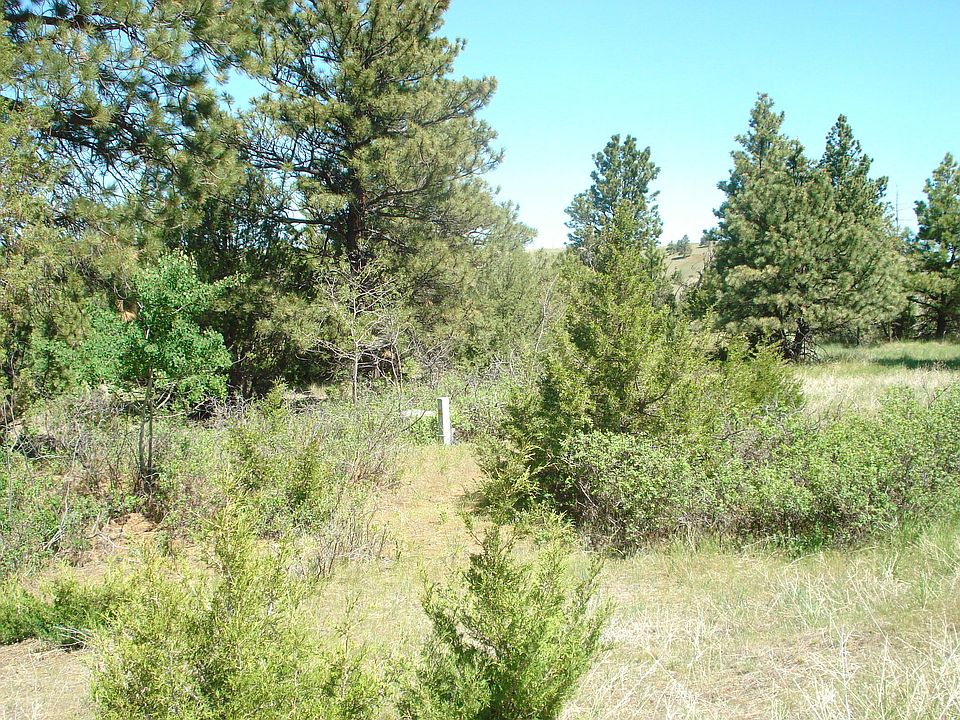 2nd image of Holmes Gulch Rd