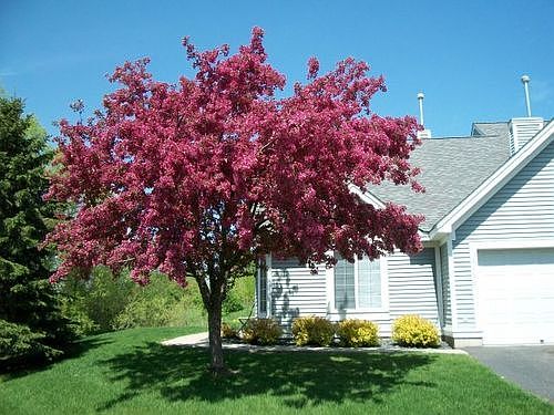 1st image of 2150 Sycamore Trl