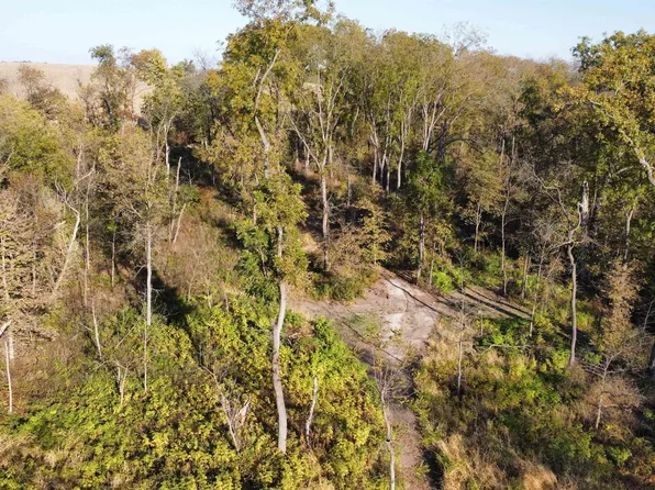 Dwyer Ln, Galena, IL 61036