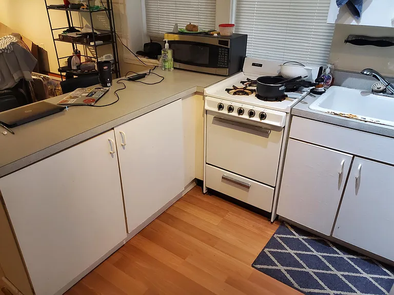 827 W Wrightwood Ave #1 — Photo 5