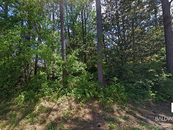 2nd image of 1706 Collier Ave
