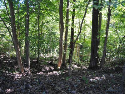 6192 Minnick Elbridge Rd, Obion, TN, 38240