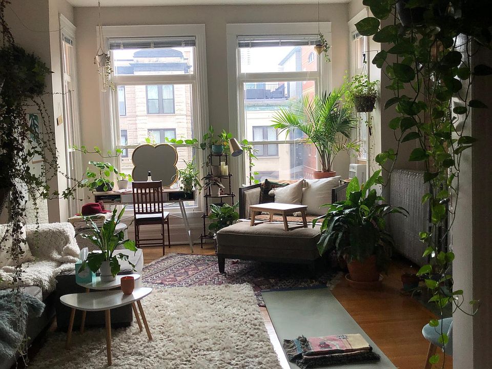1st image of 3730 N Sheffield Ave APT 2