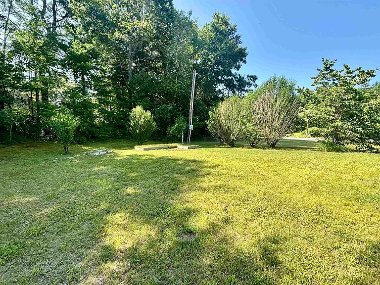 353 Forest Rd — Photo 5